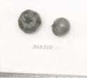 Click for 1 image(s) for this accession. FRUIT